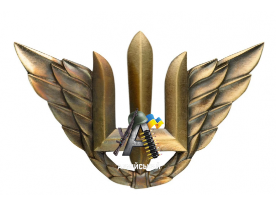 Беретний знак Повітряних військ